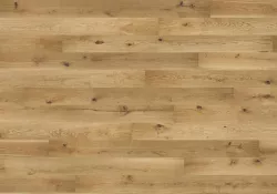 Дуб Excite