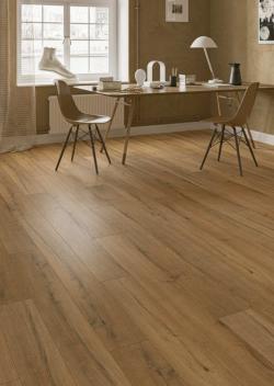 Дуб Сокотра 1005 33 класс 10мм