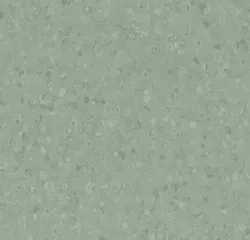 Коммерческий  линолеум Sphera Element 50050
