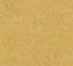 линолеум 0072 Golden Yellow