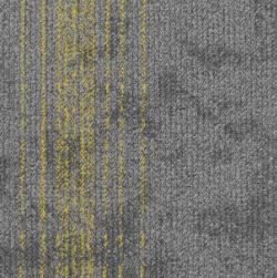 Contours 2008-11+gold