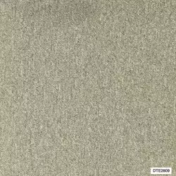 Carpet 2809