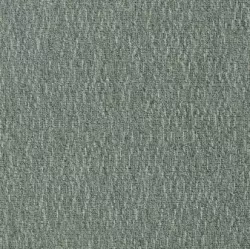 Carpet 2855