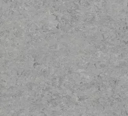 линолеум 0053 Ice Grey