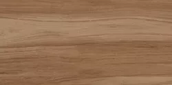 Керамогранит Шварц 6260-0196 натуральный 30*60