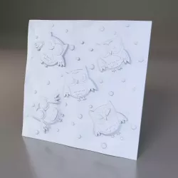 Flights Bird 003