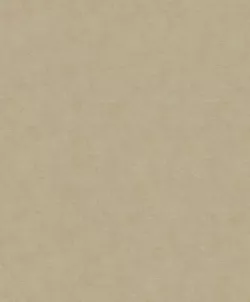 Shades 32425