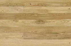 Дуб Askania Piccolo