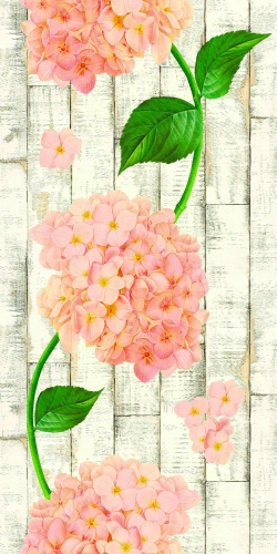Гортензия 861