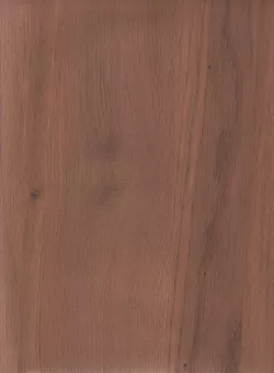 Дуб Берген 004F