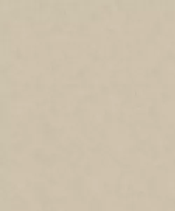 Shades 32427