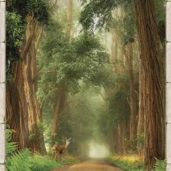 Роген хольц