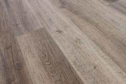 Дуб Горный ZH-81109-1