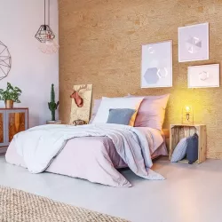 Apricot RY4V001