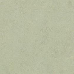 линолеум Marm Fresco 3884