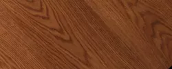 Дуб Какао