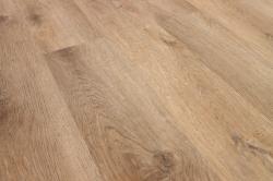 Дуб Бремен ZH-82021-7