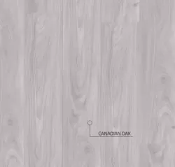 Canadian Oak YA0011