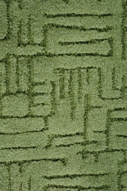 Канны 22