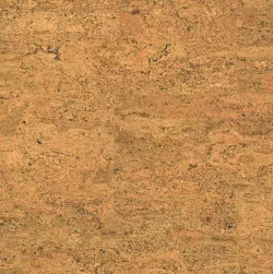 Symphony O 830