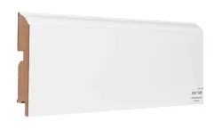 П100P