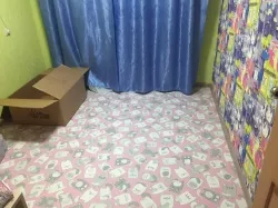 Бытовой утеплённый  линолеум Kitty 2