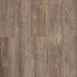 Дуб Чероки CC010