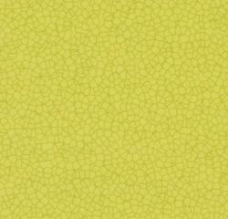 линолеум Sarlon 15dB 90758T4315 citrus halo contour