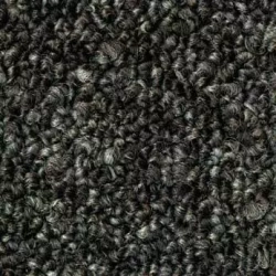 Basis 351