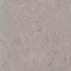 линолеум 125-153 warm grey