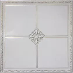 Кассета Caveen H010