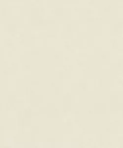 Shades 32424