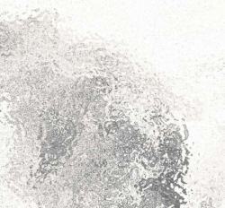 Голография H031