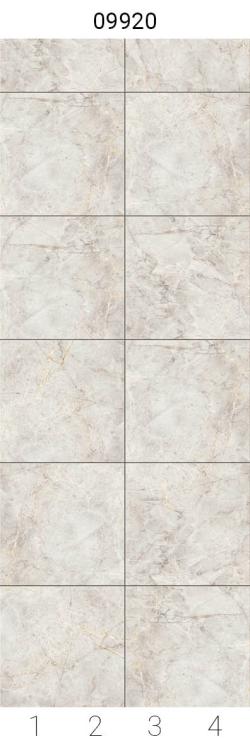 Амазонка 09920