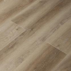 Дуб Конви 16166