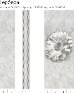 Гербера SL 0033