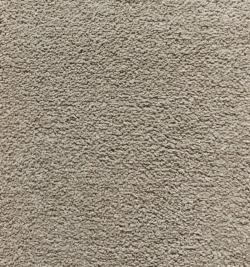 Westminster 39 Gesture