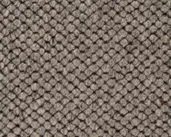 Venus 192