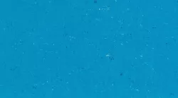 линолеум Poppy blue 0123