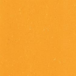 линолеум 131-171 sunrise orange