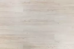 79311 Дуб светлый