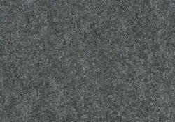 Forte 96001