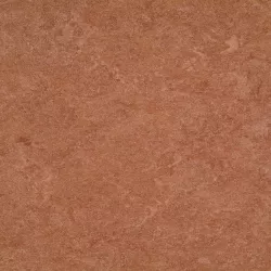 линолеум 121-003 dark brown
