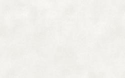 Столешница FS042 B2/1 Ягель 3000*600*38 мм 1 завал матовая