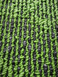 Sunrice Green