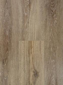 Дуб Магеллан AQ-12