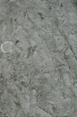 H2213 Мрамор юрский темно-серый