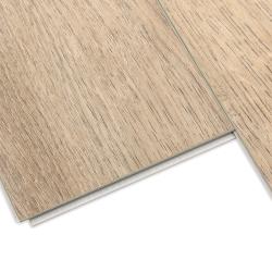 Дуб Монпелье H004