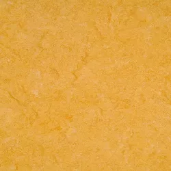 линолеум 125-072 golden yellow