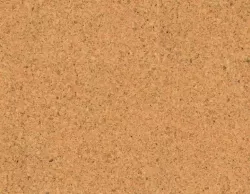 Bj25025 Grain